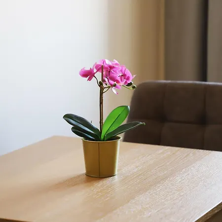 Appartement Vatican Jacuzzi House